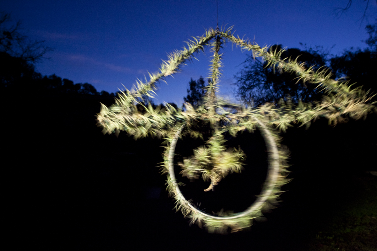 Atmocycle, 1600 x1600, recycled bicycle wheel, steel, Tillandsia plants - Lloyd Godman 2012