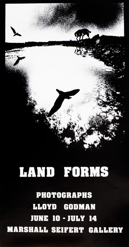 Landforms Poster
