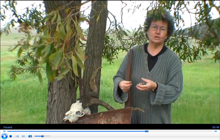 Elaine - Ephemeral workshop with Lloyd Godman - AQC 2009